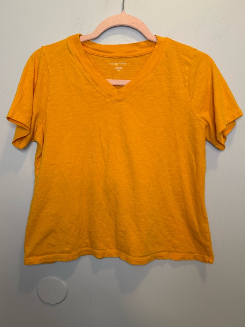 Eileen Fisher Mango Organic Cotton Slub V-Neck Tee Size XS